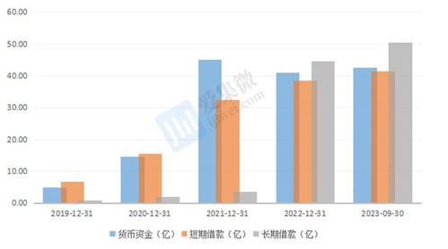 格科微布局中高像素CIS與自建Fab廠 短期財務承壓，長期戰略可期